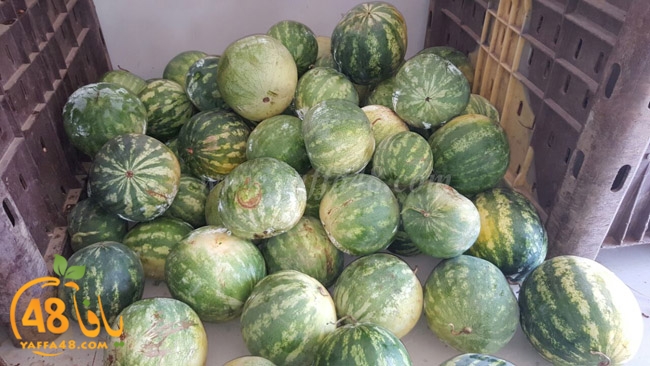 trod ramla kheri (7).jpg